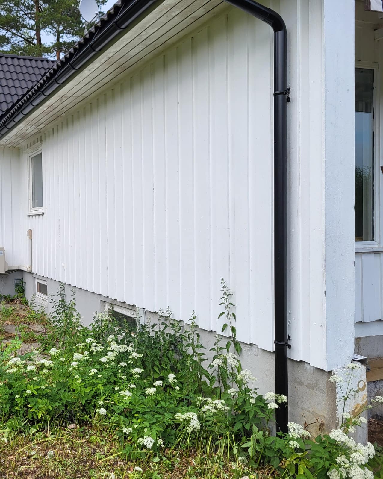 Husvegg og grunnmur før dreneringsarbeidet startet